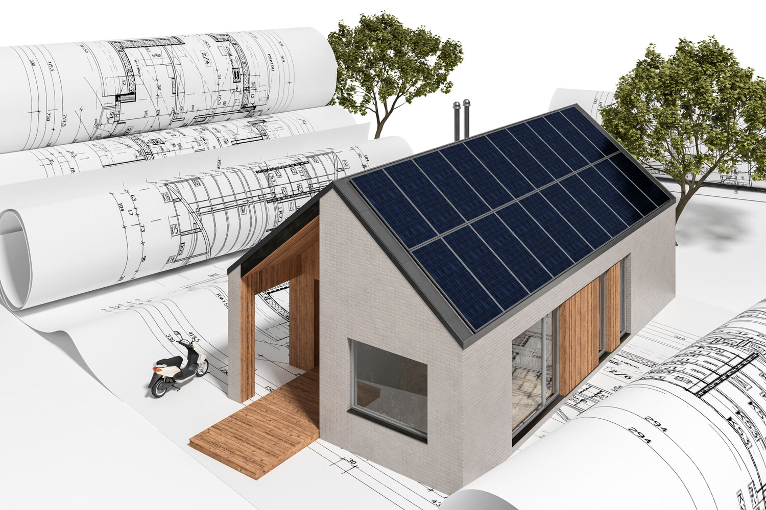 Full Home Renovation